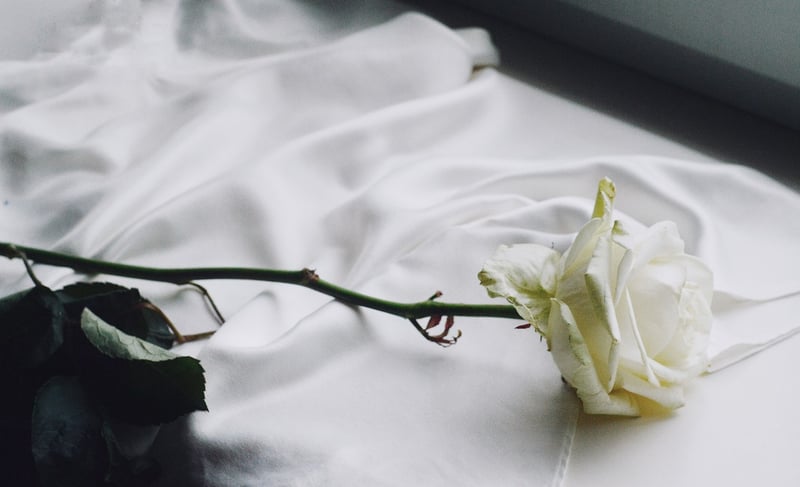 Wedding Flowers